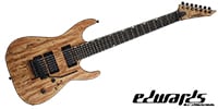 EDWARDS E-MR-FR7/SP　7弦ギター