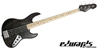 EDWARDS E-AM-150QM See Thru Black