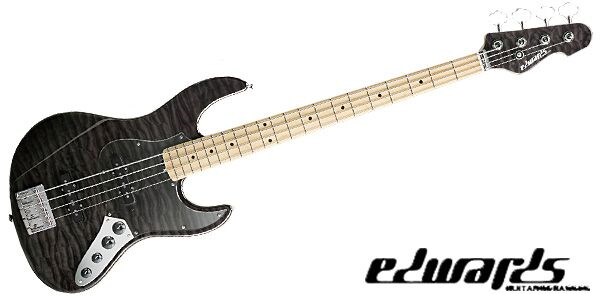 EDWARDS/E-AM-150QM See Thru Black