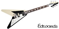 EDWARDS / E-FV-125WB BLOCK