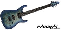 EDWARDS / E-HR6-FX/BM Aqua Burst