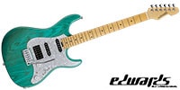 EDWARDS / E-SNAPPER-AS/M Turquoise