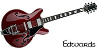 EDWARDS E-TORROCCO-CTM Metallic Bordeaux