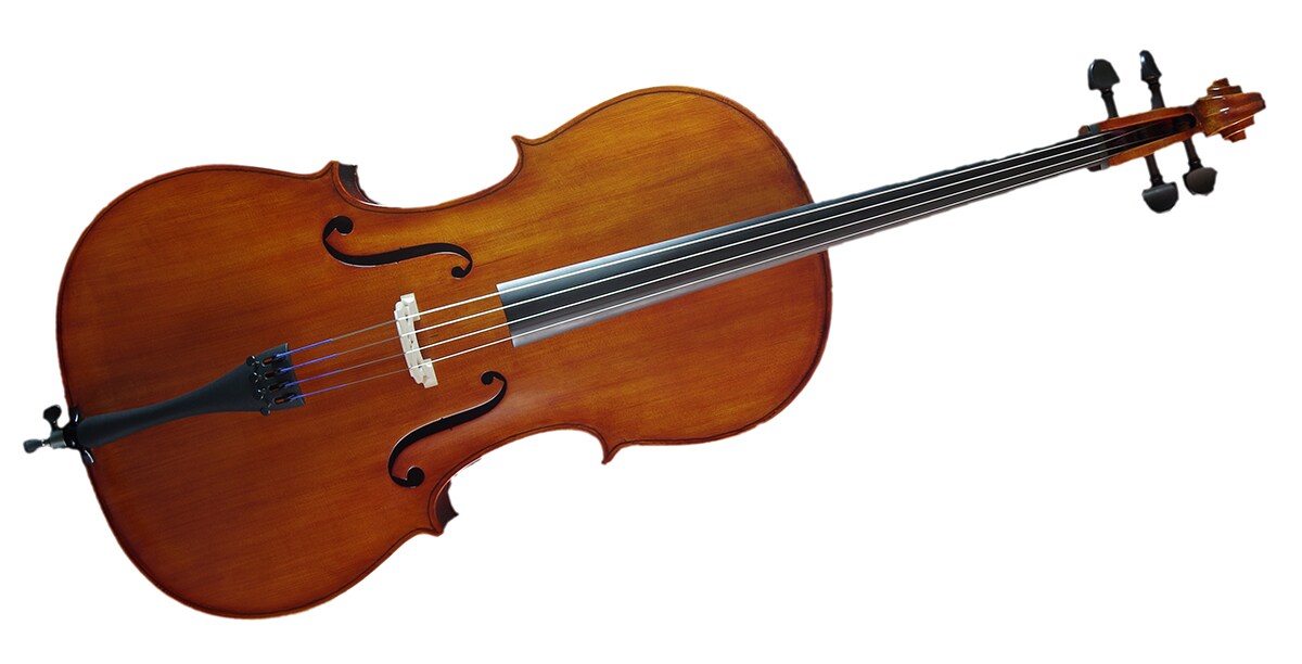 GEWA Meister チェロ セット Eastman ハードケース付