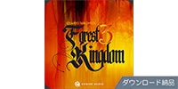 Engine Audio (by Best Service) / FOREST KINGDOM 3 ダウンロード納品