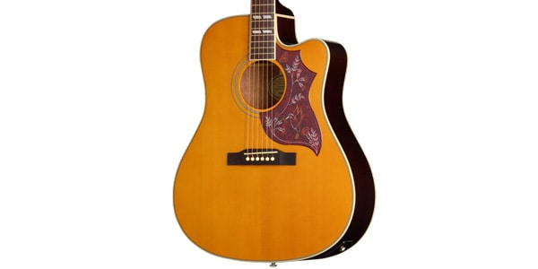 EPIPHONE ( エピフォン )  / Hummingbird Studio EC Natural画像3