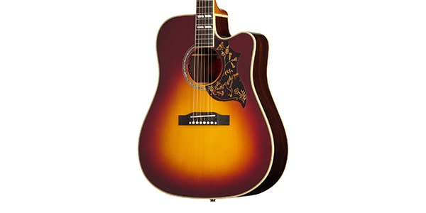 EPIPHONE ( エピフォン )  / Hummingbird Deluxe EC Autumn Burst画像3