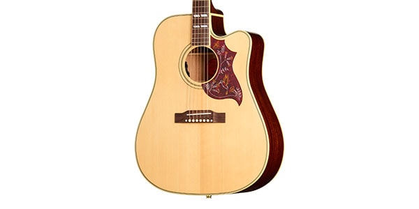 EPIPHONE ( エピフォン )  / Hummingbird Standard EC Natural画像2