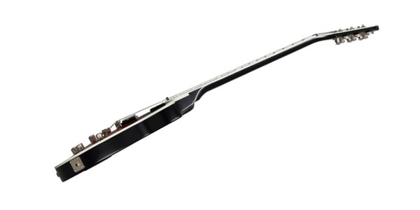 EPIPHONE / EILYRTABNH1 画像3