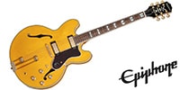 EPIPHONE / Sheraton Natural (Frequensator)