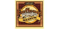 ERNIEBALL Earthwood MEDIUM #2002