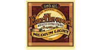 ERNIEBALL Earthwood MEDIUM LIGHT