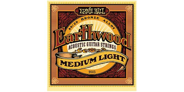 ERNIEBALL/Earthwood MEDIUM LIGHT