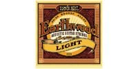 ERNIEBALL Earthwood LIGHT