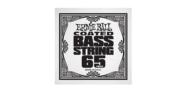 ERNIEBALL/.065 COATED BASS