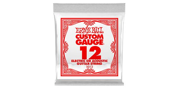 ERNIEBALL/.012 PLAIN STEEL #1012