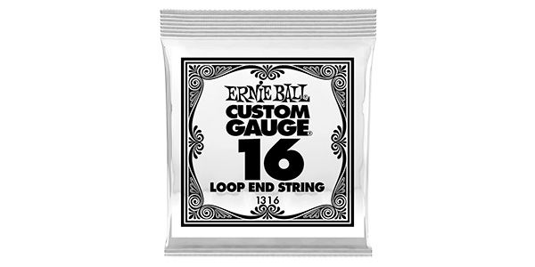 ERNIEBALL/.016 LOOP END PLAIN STEEL #1316