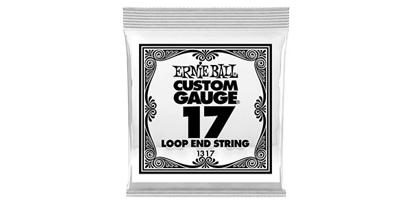 ERNIEBALL/.017 LOOP END PLAIN STEEL #1317