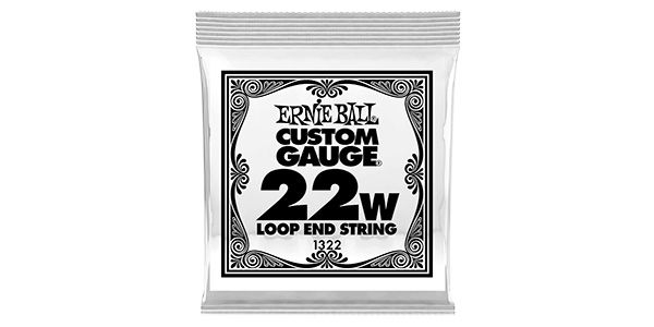 ERNIEBALL/.022 LOOP END STAINLESS STEEL WOUND