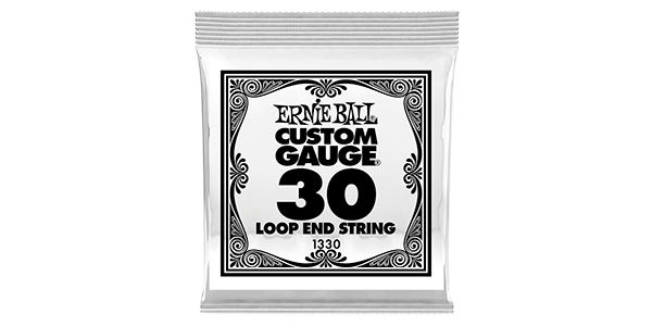 ERNIEBALL/.030 LOOP END STAINLESS STEEL WOUND