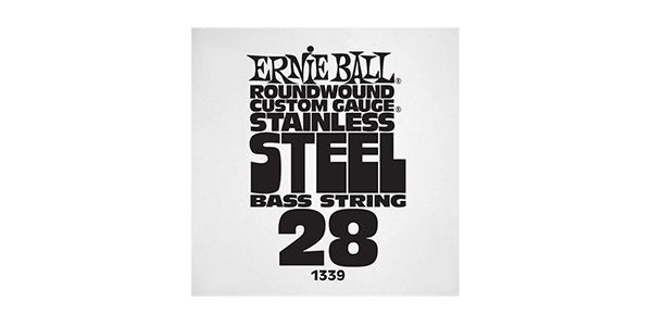 ERNIEBALL/.028 STAINLESS STEEL