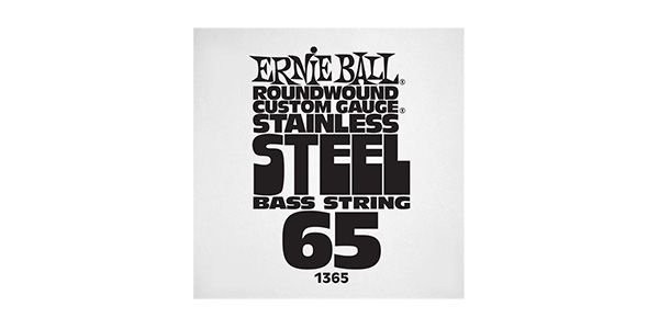 ERNIEBALL/.065 STAINLESS STEEL