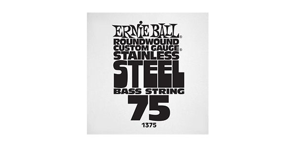 ERNIEBALL/.075 STAINLESS STEEL