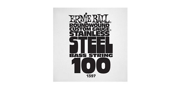 ERNIEBALL/.100 STAINLESS STEEL