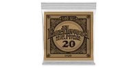 ERNIEBALL .020 EARTHWOOD 80/20 BRONZE