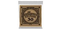 ERNIEBALL .030 EARTHWOOD 80/20 BRONZE