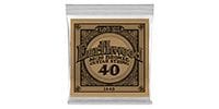 ERNIEBALL .040 EARTHWOOD 80/20 BRONZE