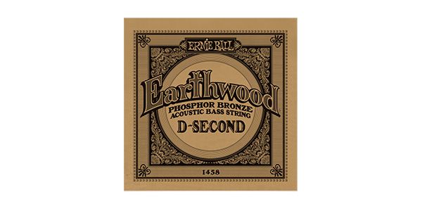 ERNIEBALL/EARHTWOOD ACOUSTIC BASS - 2