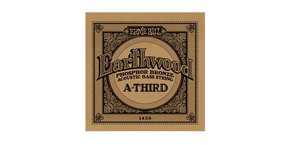 ERNIEBALL/EARHTWOOD ACOUSTIC BASS - 3