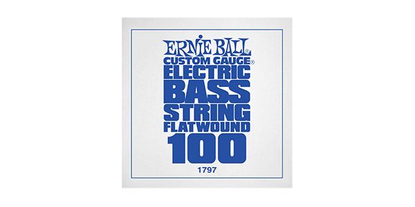 ERNIEBALL/.100 FLATWOUND BASS CHROME PLATED STEEL