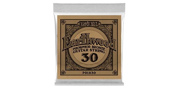 ERNIEBALL/.030 EARTHWOOD PHOSPHOR BRONZE