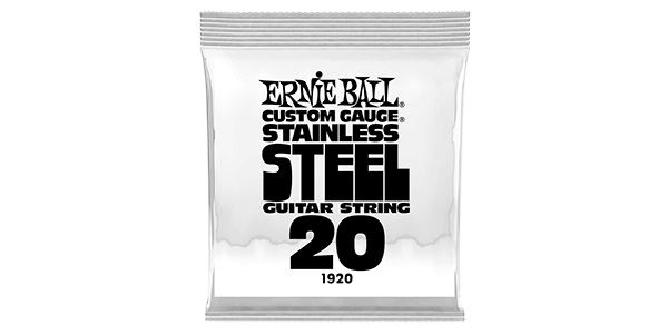 ERNIEBALL/.020 STAINLESS STEEL