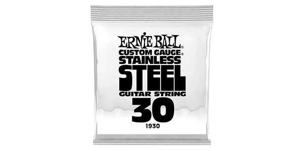 ERNIEBALL/.030 STAINLESS STEEL