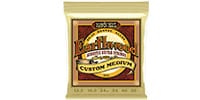 ERNIE BALL / EARTHWOOD CUSTOM MEDIUM 80/20 BRONZE