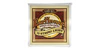 ERNIEBALL Earthwood 12-String LIGHT