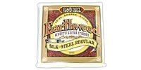 ERNIEBALL Earthwood 80/20 Silk & Steel Regular #2043