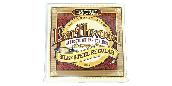 ERNIEBALL/Earthwood 80/20 Silk & Steel Regular #2043