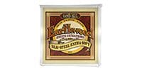 ERNIEBALL Earthwood Silk&amp;Steel EXTRA SOFT