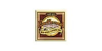 ERNIEBALL Earthwood 80/20 Silk & Steel Soft 12-STRINGS