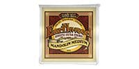 ERNIEBALL Earthwood Mandolin MEDIUM マンドリン弦
