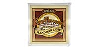 ERNIEBALL Earthwood Mandolin LIGHT