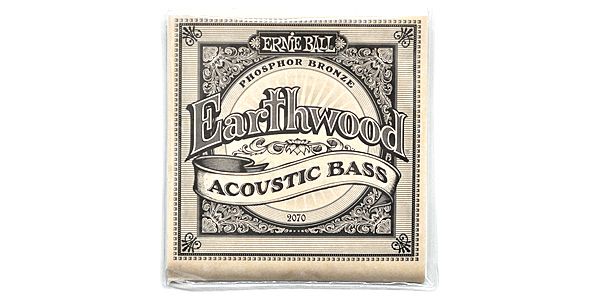 ERNIEBALL/EARTHWOOD BASS