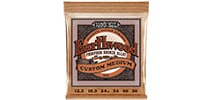 ERNIE BALL / EARTHWOOD CUSTOM MEDIUM PHOSPHOR BRONZE