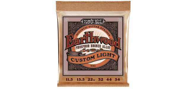 ERNIE BALL ( アーニー・ボール ) EARTHWOOD CUSTOM LIGHT