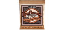 ERNIE BALL / EARTHWOOD 12-STRING CUSTOM LIGHT PHOSPHOR BRONZE