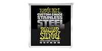 ERNIEBALL Regular Slinky Stainless Steel #2246